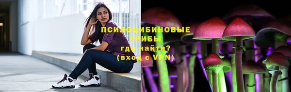 крисы Бугульма