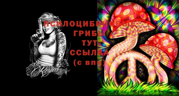 jwh Богородицк