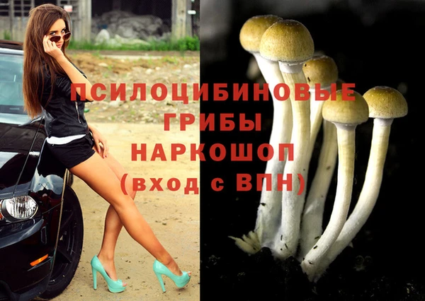 MDMA Premium VHQ Бронницы