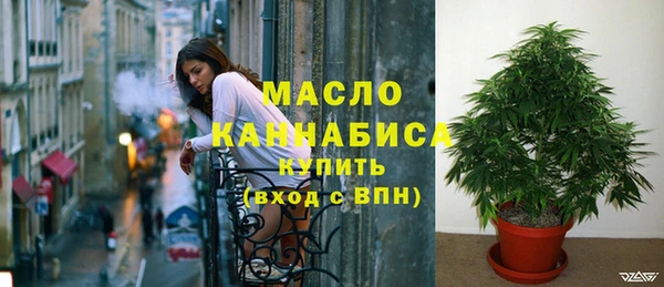 таблы Бородино