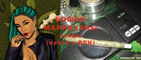 крисы Бугульма